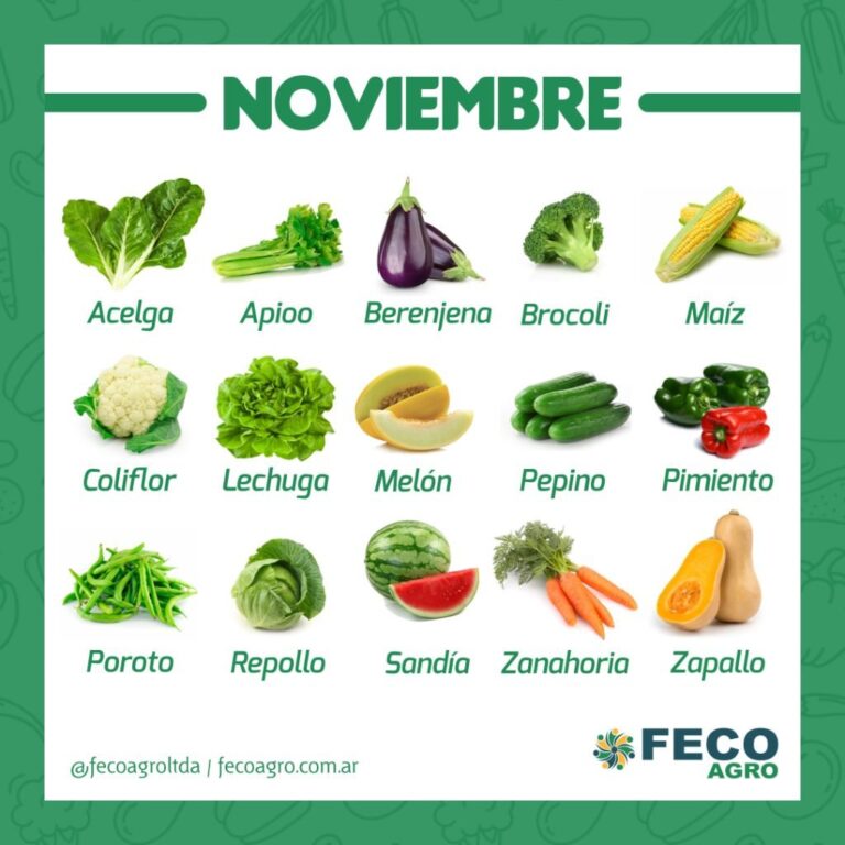 Rizomas De Peonía Para Plantar – 2 Unidades – Fáciles De Cultivar Y De Bajo Mantenimiento