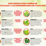 9 Enfermedades del Pothos: Cómo Prevenirlas y Tratarlas