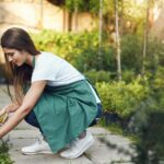 9 Estrategias para Mantener tus Hierbas Vivas Durante el Invierno