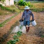 9 Estrategias para Proteger tu Jardín durante la Sequía Estival