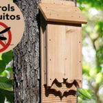 9 Formas de Atraer Murciélagos a Tu Jardín