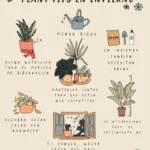 9 Formas de Cuidar tus Plantas de Interior en Invierno