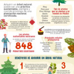9 Formas Sostenibles de Reutilizar tu Árbol de Navidad