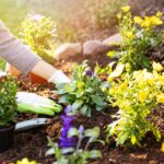 9 Motivos para Conservar las Hojas en el Jardín Este Otoño