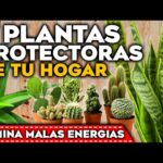9 Plantas Desafiantes que Valen el Esfuerzo en Casa