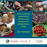 9 Semillas de Plantas Nativas para Recolectar Hoy Mismo