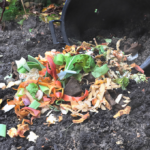 9 Tipos de Desechos de Jardín para tu Pila de Compostaje