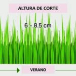 Altura ideal para cortar el césped en otoño