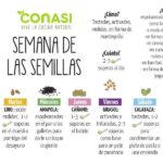 Antes de Pedir Semillas Este Año: 7 Pasos Esenciales