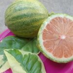 Árbol de Limonada Rosa: Limones Sorprendentes que Te Encantarán