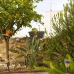 Árboles frutales ideales para jardines y patios en Tennessee
