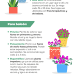 Beneficios de Aprovechar el Jardín Propio en Noviembre