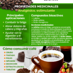 Beneficios y efectos del café molido en los rosales