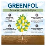 Calcio en el Suelo: Beneficios para el Crecimiento de Plantas