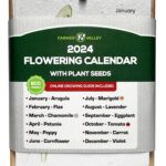 Calendario ideal para plantar y cosechar ruibarbo