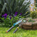 Cinco causas por las que tu jardín no prospera este verano