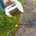 Cinco métodos para eliminar césped en tus macizos florales