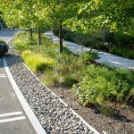 Cinco métodos para optimizar el drenaje en tus jardines elevados