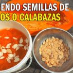 Cómo Almacenar Semillas de Calabaza: 7 Consejos Esenciales