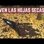 Cómo aprovechar las hojas de otoño en huertos elevados
