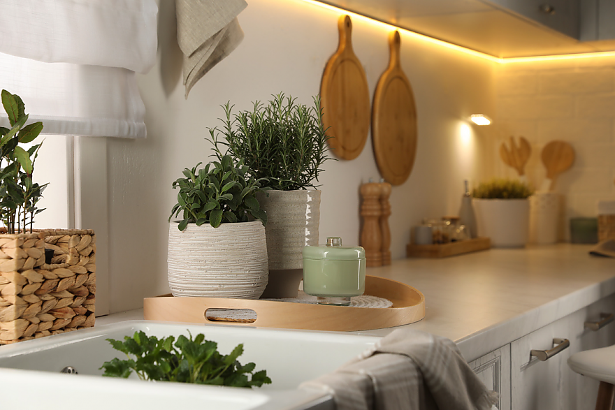 Cómo Crear un Huerto de Cocina Estilo Potager Francés
