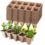 Cómo Cultivar Tus Propias Cestas Colgantes Desde Semilla