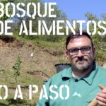 Cómo Cultivar un Bosque Comestible Exitosamente