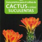 Cómo Cultivar un Cactus Desde Semilla: Guía Práctica