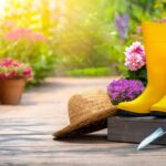 Cómo las ecorregiones facilitan elegir las plantas ideales para tu jardín