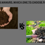 ¿Cómo saber si mi compost o mantillo tiene herbicidas?