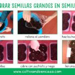 Cómo sembrar semillas en invierno con 7 sencillos pasos