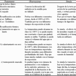 Comparativa de 3 métodos para iniciar semillas: ¿Cuál es el ideal?