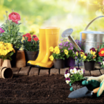Consejos Esenciales para Planear tu Jardín Primaveral: 7 Recomendaciones