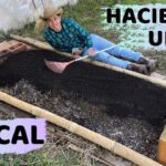 Construcción de camas de hongos al aire libre en 11 pasos