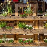 Construye Tu Propio Jardín con Palets en 6 Sencillos Pasos