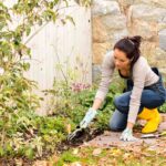 ¿Conviene retirar anuales o dejarlas descomponerse en el jardín?
