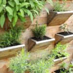 Crea un Jardín Vertical de Hierbas en tu Cocina