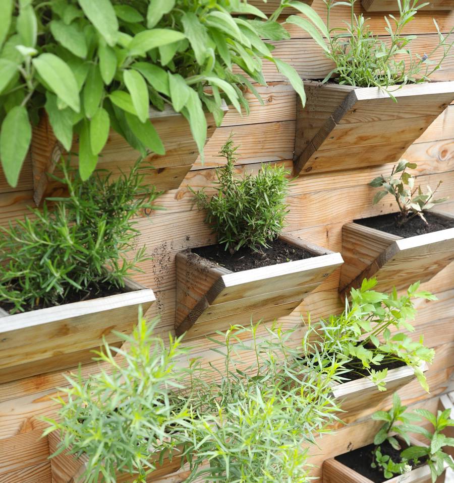 Crea un Jardín Vertical de Hierbas en tu Cocina