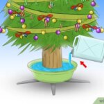 Cuánta agua requiere un árbol de Navidad