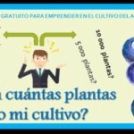 ¿Cuánto tardan los arbustos de arándanos en dar fruto?