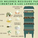 Cuatro métodos para recolectar humus de lombriz