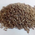 Cultiva comino para dar sabor y vida a tu jardín