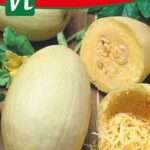Cultiva Espagueti de Calabaza: ¡Tu Huerto de Pasta Abundante!