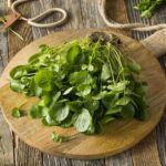 Cultiva hojas verdes de ensalada de manera excepcional