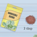 Cultiva microbrotes de brócoli fácilmente en 5 pasos sencillos
