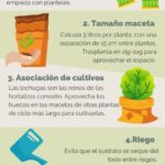 Cultiva microvegetales de lechuga en 5 sencillos pasos