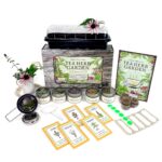 Cultiva tu propio jardín de té de hierbas