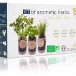 Cultiva tus propias Hierbas de Provenza en casa