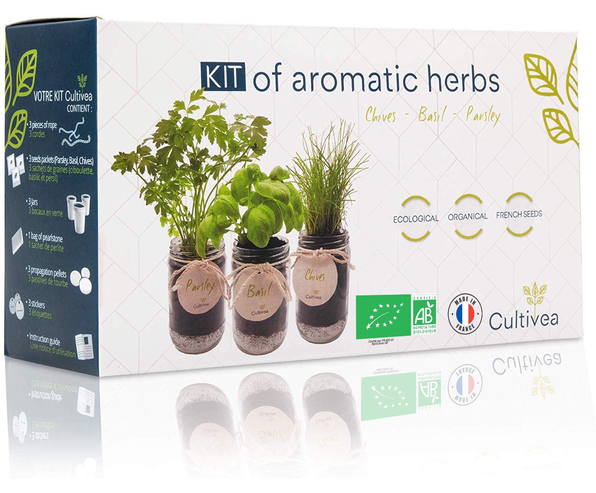 Cultiva tus propias Hierbas de Provenza en casa
