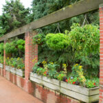 Cultiva un jardín para polinizadores en camas elevadas